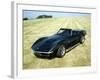 A 1969 Chevrolet Corvette Stingray in a Field-null-Framed Photographic Print