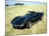 A 1969 Chevrolet Corvette Stingray in a Field-null-Mounted Photographic Print
