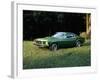 A 1969 Ford Mustang Sportsroof-Unknown-Framed Photographic Print