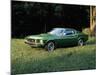 A 1969 Ford Mustang Sportsroof-Unknown-Mounted Photographic Print