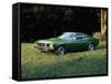 A 1969 Ford Mustang Sportsroof-Unknown-Framed Stretched Canvas