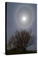 A 22 Degrees Halo around the 2013 Supermoon-null-Stretched Canvas