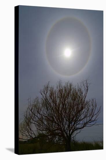 A 22 Degrees Halo around the 2013 Supermoon-null-Stretched Canvas