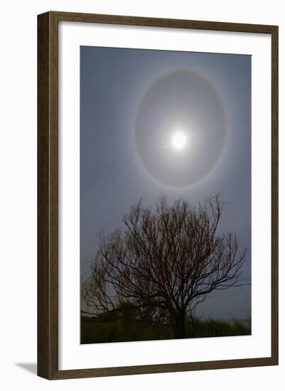 A 22 Degrees Halo around the 2013 Supermoon-null-Framed Photographic Print