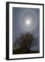 A 22 Degrees Halo around the 2013 Supermoon-null-Framed Photographic Print