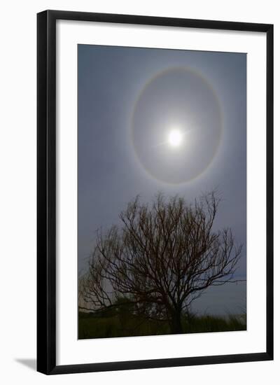 A 22 Degrees Halo around the 2013 Supermoon-null-Framed Photographic Print