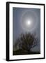A 22 Degrees Halo around the 2013 Supermoon-null-Framed Photographic Print