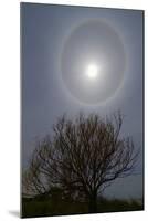 A 22 Degrees Halo around the 2013 Supermoon-null-Mounted Photographic Print