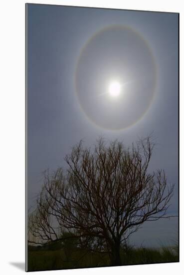 A 22 Degrees Halo around the 2013 Supermoon-null-Mounted Photographic Print