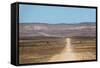 A 4X4 Car Leaves a Cloud of Dust as it Apporachs Along the Long Dusty Road to the Fish River Canyon-Alex Treadway-Framed Stretched Canvas