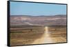A 4X4 Car Leaves a Cloud of Dust as it Apporachs Along the Long Dusty Road to the Fish River Canyon-Alex Treadway-Framed Stretched Canvas