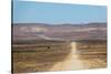 A 4X4 Car Leaves a Cloud of Dust as it Apporachs Along the Long Dusty Road to the Fish River Canyon-Alex Treadway-Stretched Canvas