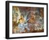 A 50-Light-Year-Wide View of the Central Region of the Carina Nebula-Stocktrek Images-Framed Premium Photographic Print