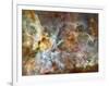 A 50-Light-Year-Wide View of the Central Region of the Carina Nebula-Stocktrek Images-Framed Photographic Print