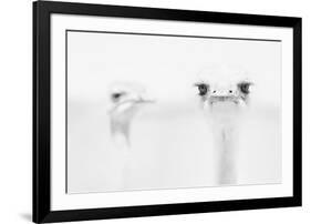 A°A°A°-Carlo Tonti-Framed Art Print