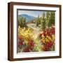 Brown Frame