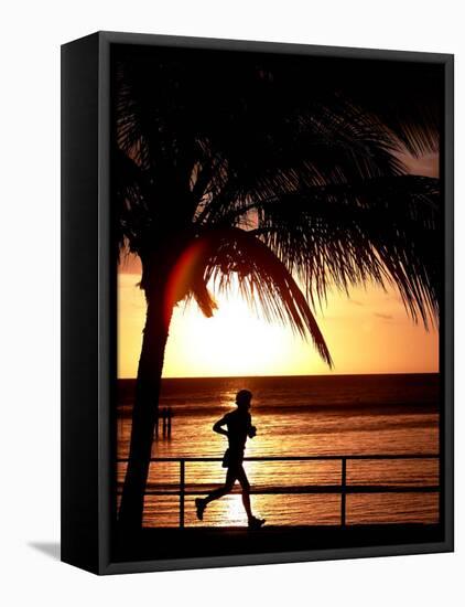 A Afternoon Runner Passes Under a Palm Tree as the Sun Sets Behind-null-Framed Stretched Canvas