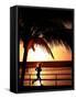 A Afternoon Runner Passes Under a Palm Tree as the Sun Sets Behind-null-Framed Stretched Canvas