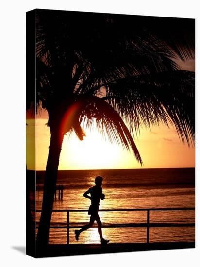 A Afternoon Runner Passes Under a Palm Tree as the Sun Sets Behind-null-Stretched Canvas