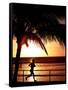 A Afternoon Runner Passes Under a Palm Tree as the Sun Sets Behind-null-Framed Stretched Canvas