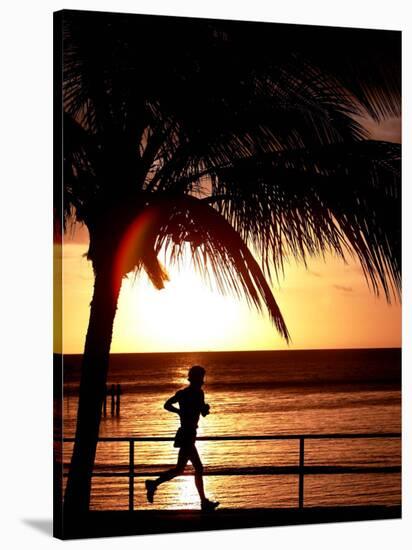 A Afternoon Runner Passes Under a Palm Tree as the Sun Sets Behind-null-Stretched Canvas