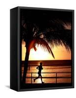 A Afternoon Runner Passes Under a Palm Tree as the Sun Sets Behind-null-Framed Stretched Canvas