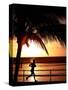 A Afternoon Runner Passes Under a Palm Tree as the Sun Sets Behind-null-Stretched Canvas