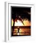 A Afternoon Runner Passes Under a Palm Tree as the Sun Sets Behind-null-Framed Photographic Print