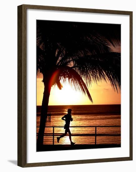 A Afternoon Runner Passes Under a Palm Tree as the Sun Sets Behind-null-Framed Photographic Print