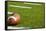 A American Football on a Green Football Field-flippo-Framed Stretched Canvas