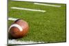 A American Football on a Green Football Field-flippo-Mounted Photographic Print