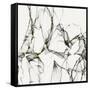 A and G 2-Sheldon Lewis-Framed Stretched Canvas