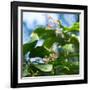 A Azure-Shouldered Tanager on a Branch in the Atlantic Rainforest-Alex Saberi-Framed Photographic Print