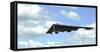 A B-2 Spirit Prepares for Landing-null-Framed Stretched Canvas