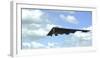 A B-2 Spirit Prepares for Landing-null-Framed Photographic Print