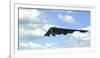 A B-2 Spirit Prepares for Landing-null-Framed Photographic Print