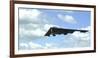 A B-2 Spirit Prepares for Landing-null-Framed Photographic Print