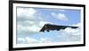 A B-2 Spirit Prepares for Landing-null-Framed Photographic Print