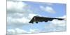 A B-2 Spirit Prepares for Landing-null-Mounted Photographic Print