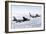 A B-52H Stratofortress Refuels with a Kc-135R Stratotanker-null-Framed Photographic Print