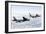 A B-52H Stratofortress Refuels with a Kc-135R Stratotanker-null-Framed Photographic Print