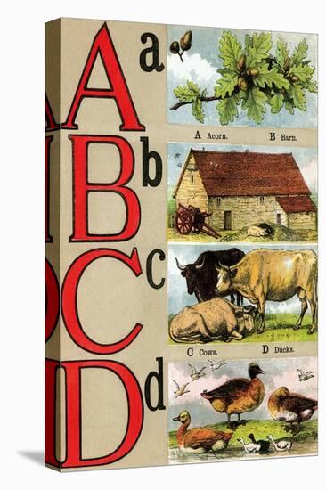 A, B, C, D Illustrated Letters-Edmund Evans-Stretched Canvas