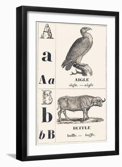 A B: Eagle — Buffalo, 1850 (Engraving)-Louis Simon (1810-1870) Lassalle-Framed Giclee Print