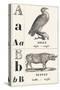 A B: Eagle — Buffalo, 1850 (Engraving)-Louis Simon (1810-1870) Lassalle-Stretched Canvas