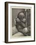 A Baby Orang-Outang-John Charles Dollman-Framed Giclee Print