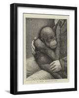 A Baby Orang-Outang-John Charles Dollman-Framed Giclee Print