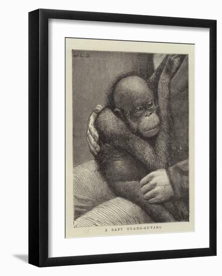 A Baby Orang-Outang-John Charles Dollman-Framed Giclee Print