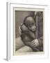 A Baby Orang-Outang-John Charles Dollman-Framed Giclee Print