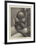 A Baby Orang-Outang-John Charles Dollman-Framed Giclee Print