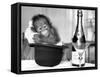 A baby Orangutan at Twycross Zoo-Staff-Framed Stretched Canvas